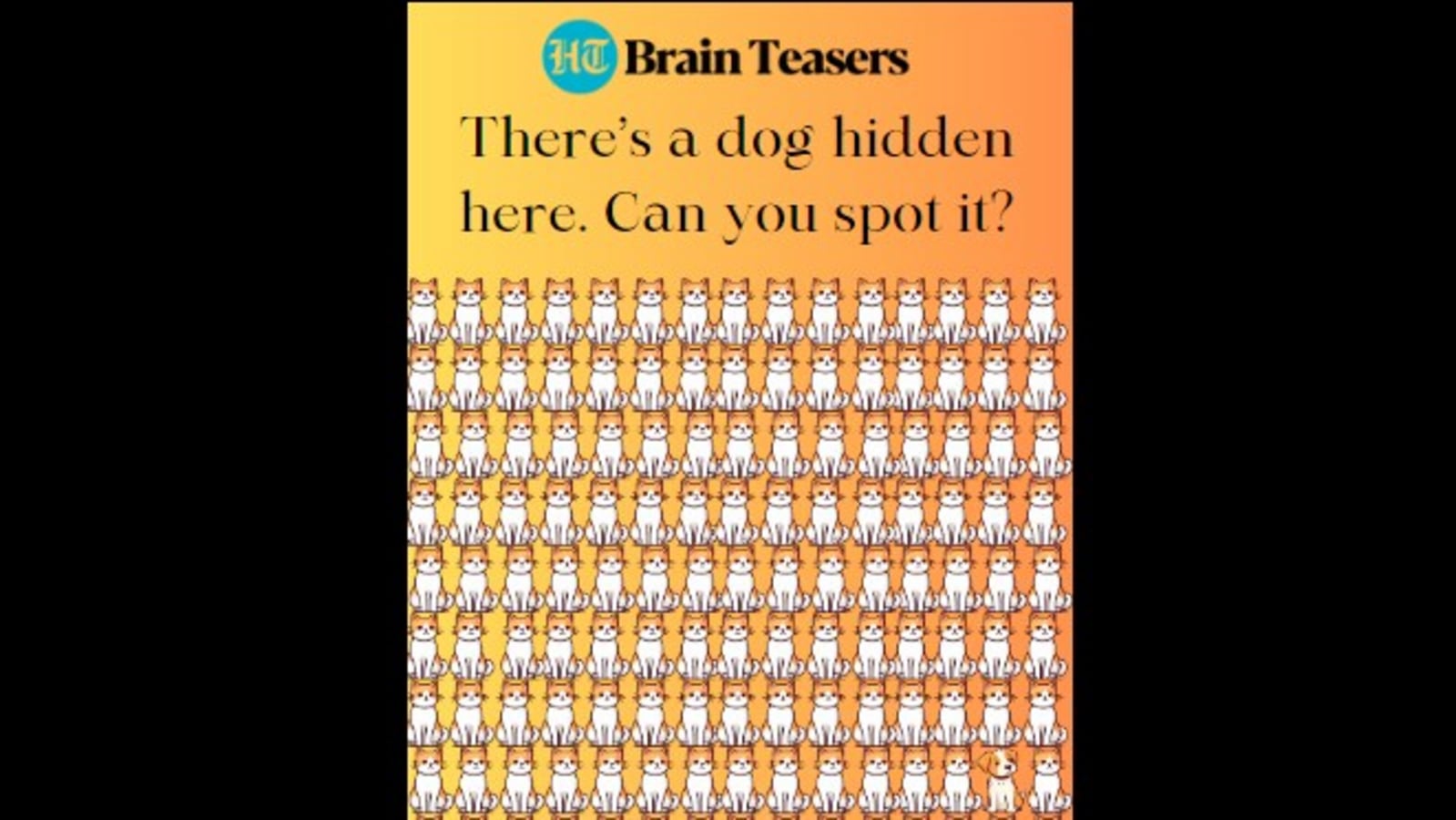 Brain teaser: There's a dog hiding between cats, you have 5 seconds to solve it