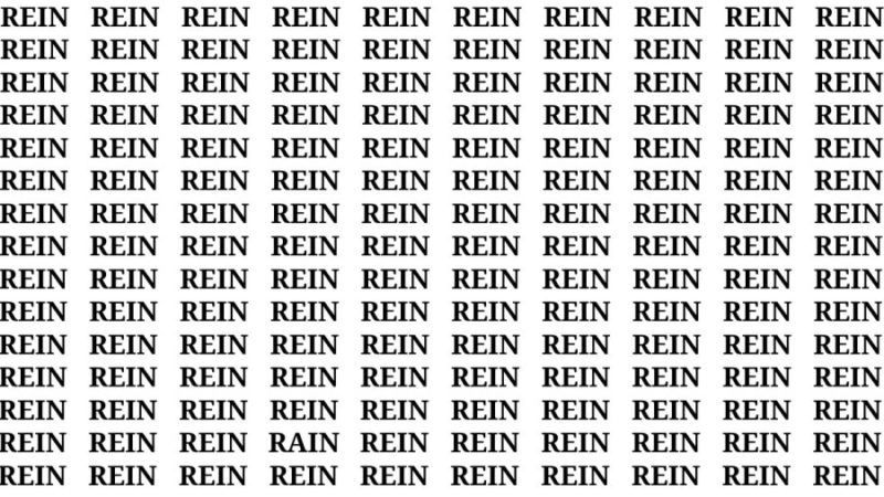 Can you find the word Rain in this picture within 15 seconds?