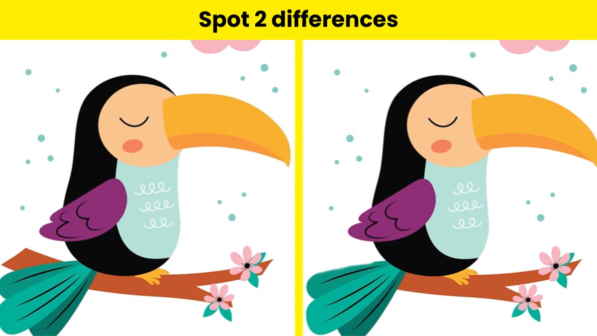 Can you spot 2 differences?