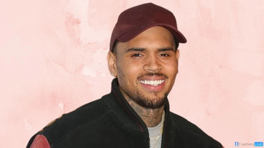 Chris Brown Girlfriend 2023, Who is Ammika Harris?