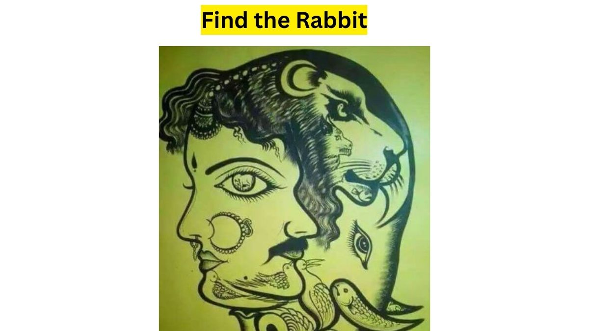 Do You See A Rabbit Here?