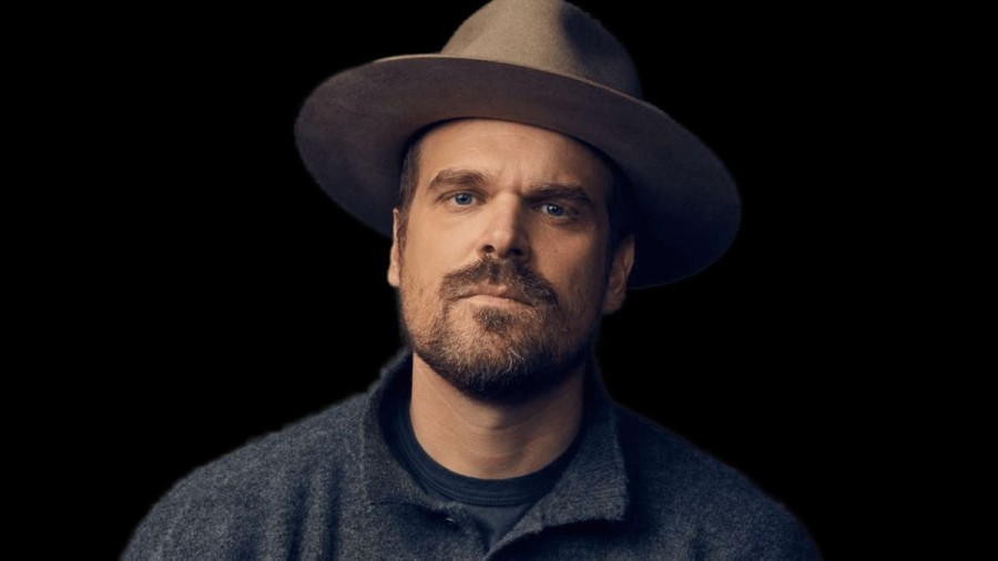 David Harbour Net Worth 2023, Biography, Age, Ethnicity, Nationality, Career, Achievements