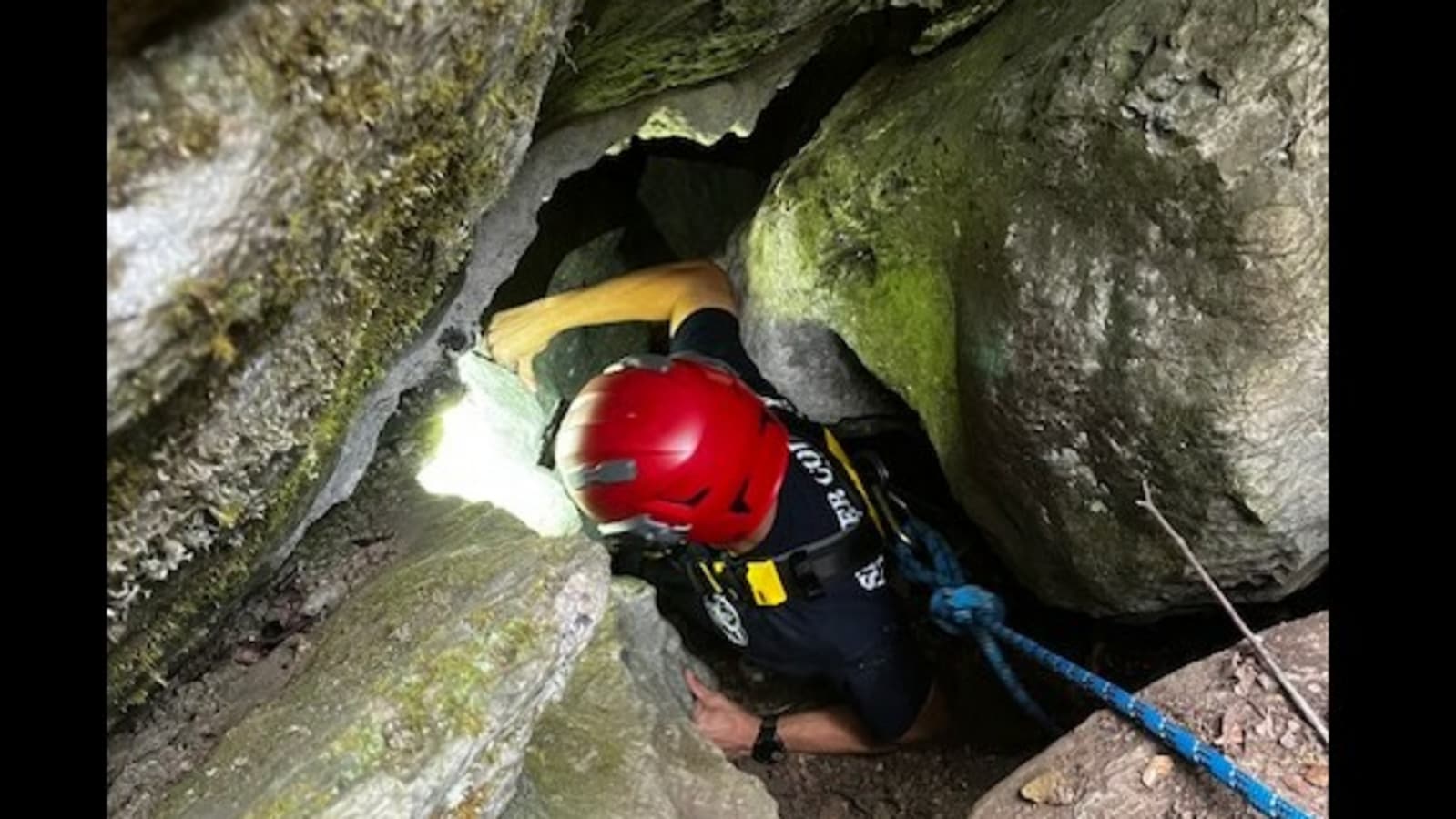 Dog trapped in a cave for 3 days with a bear, rescued by daring firefighters