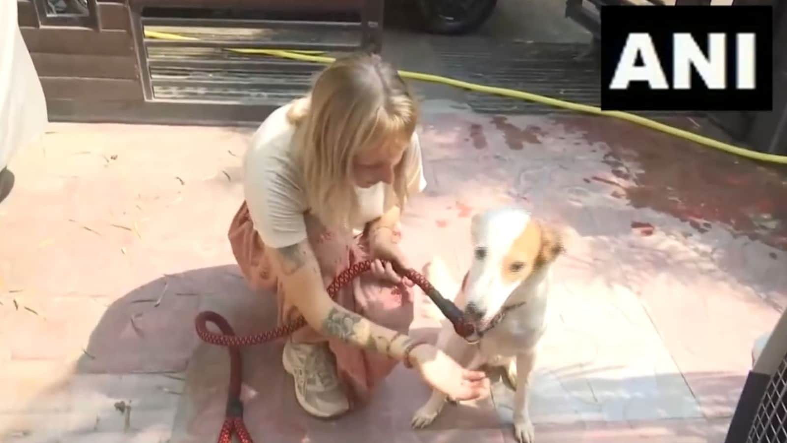 Dutch woman adopts street dog from UP’s Varanasi, set to fly back with her