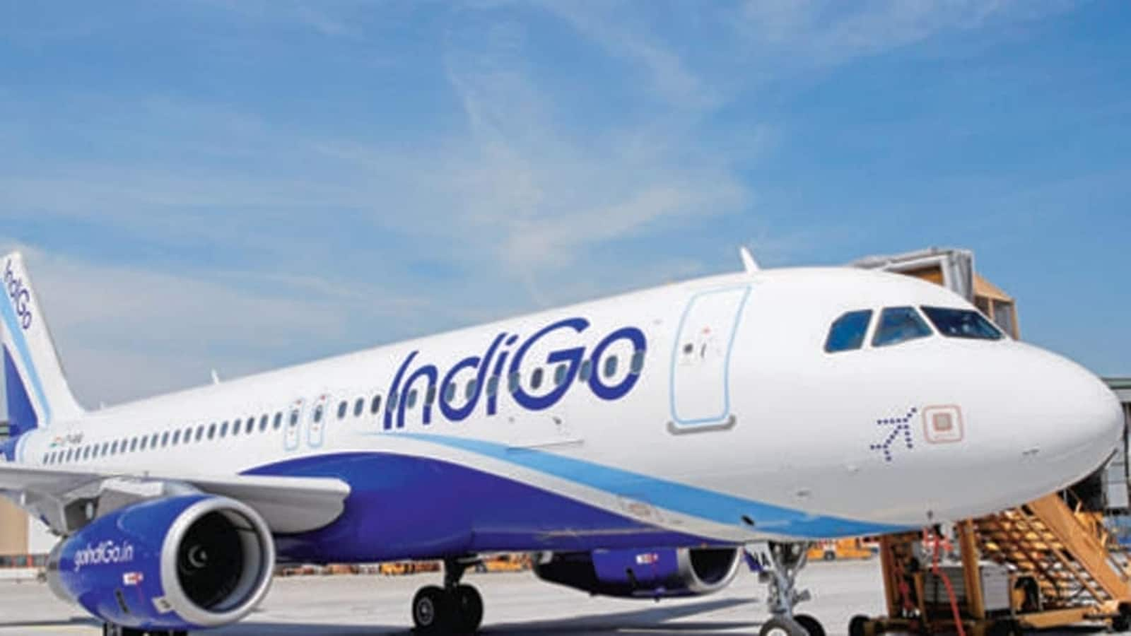 Edelweiss CEO details 'poor landing experience' with IndiGo, airline responds