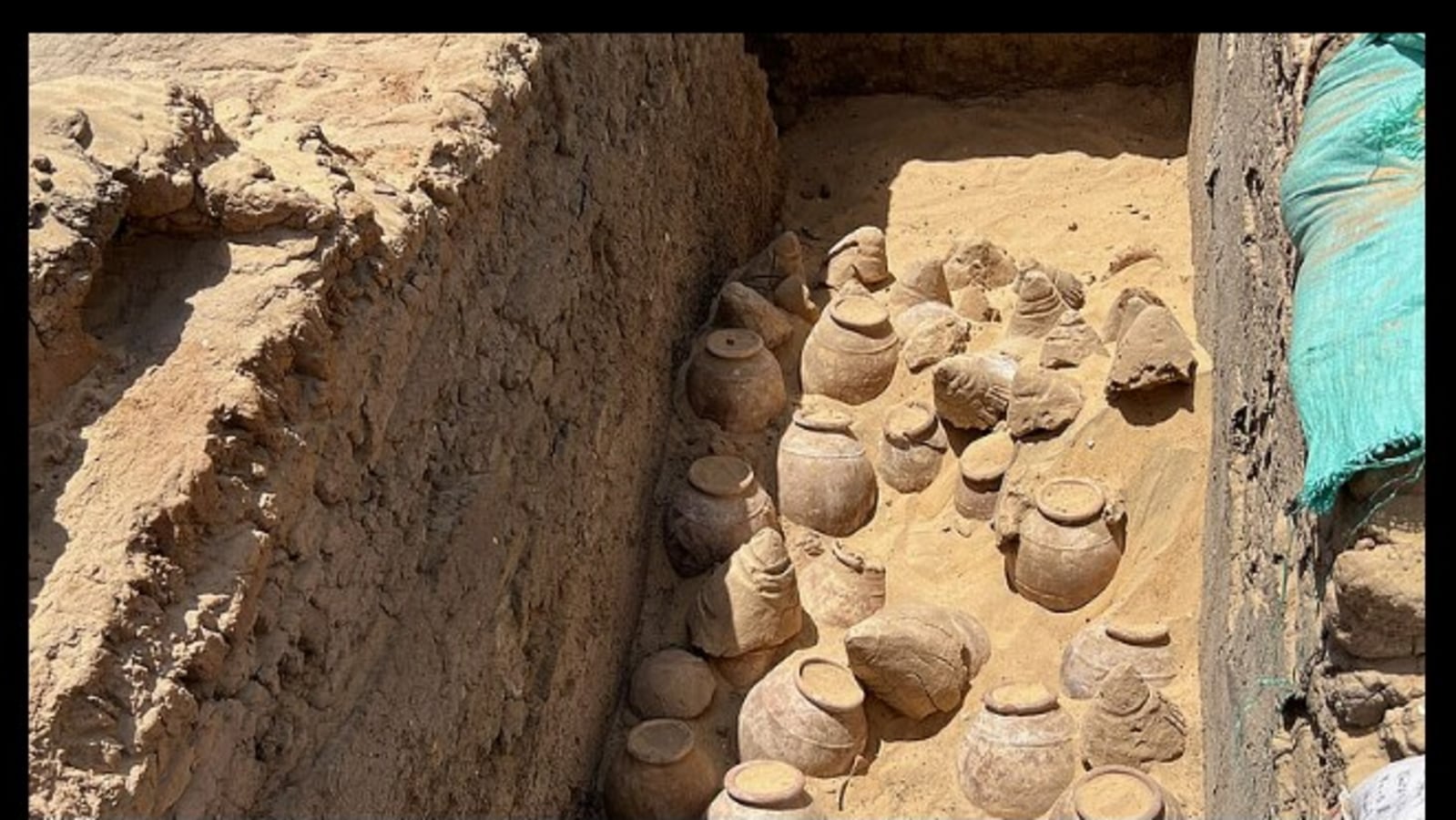 Egyptian Queen's 5,000-year-old wine unearthed in an exciting excavation