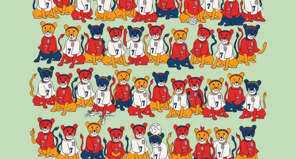 Find the lioness that doesn't have a twin in this visual acuity test