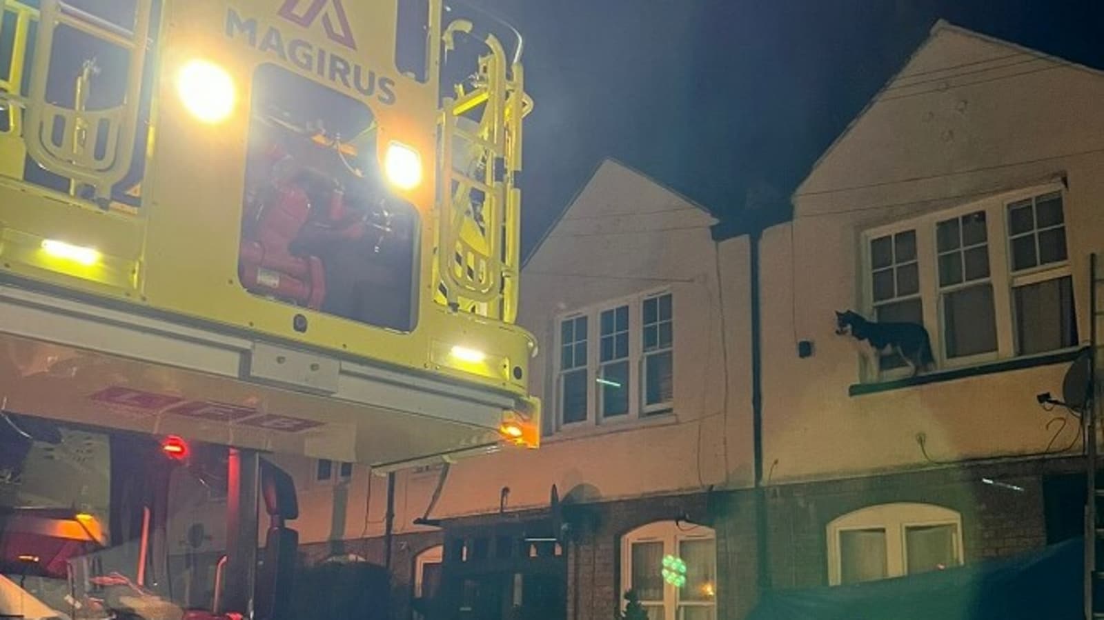 Firefighter armed with dog treats rescues Husky from narrow window ledge