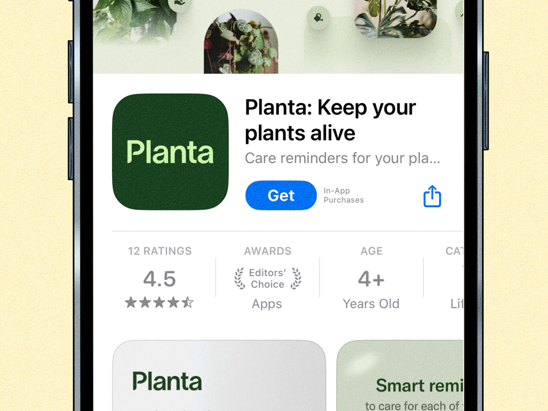 How to Use Your iPhone Camera to Identify Plants & Flowers