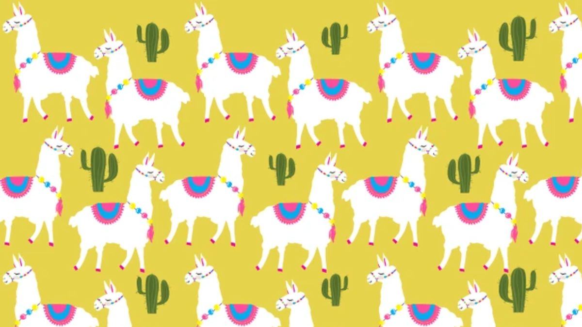 Can you spot the ODD Llama in the picture within 7 secs?