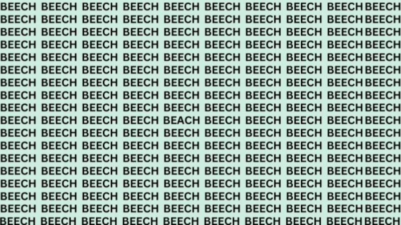 If you have eagle eyes, find the word Beach among the beech trees in 11 seconds