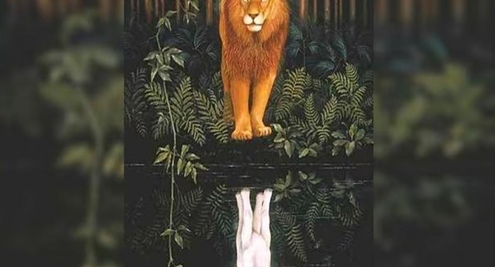 If you see something different from a lion, it means that you are a submissive person and do not attract attention.