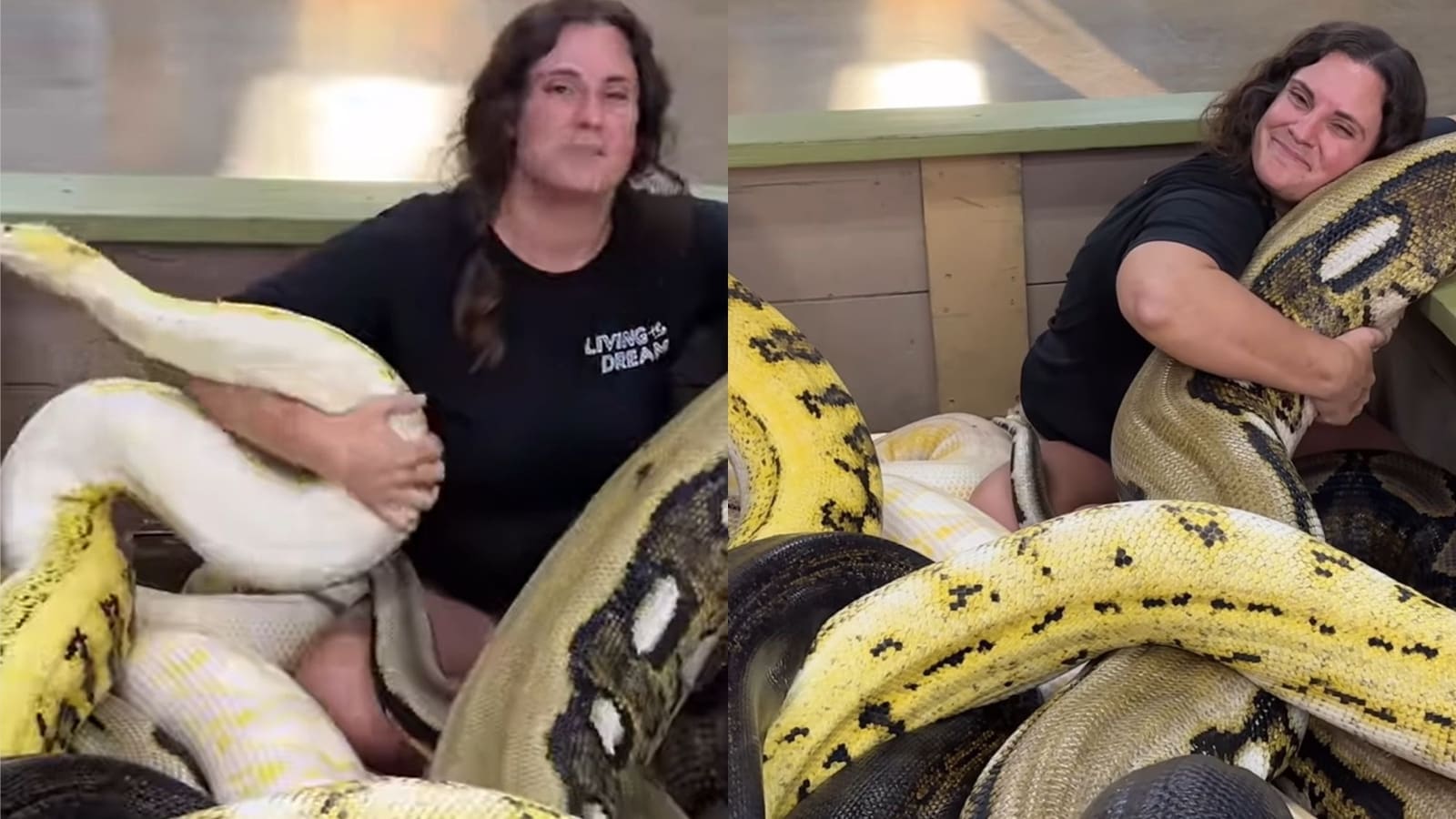 Internet is ‘scared’ after watching this video of a woman hugging pythons