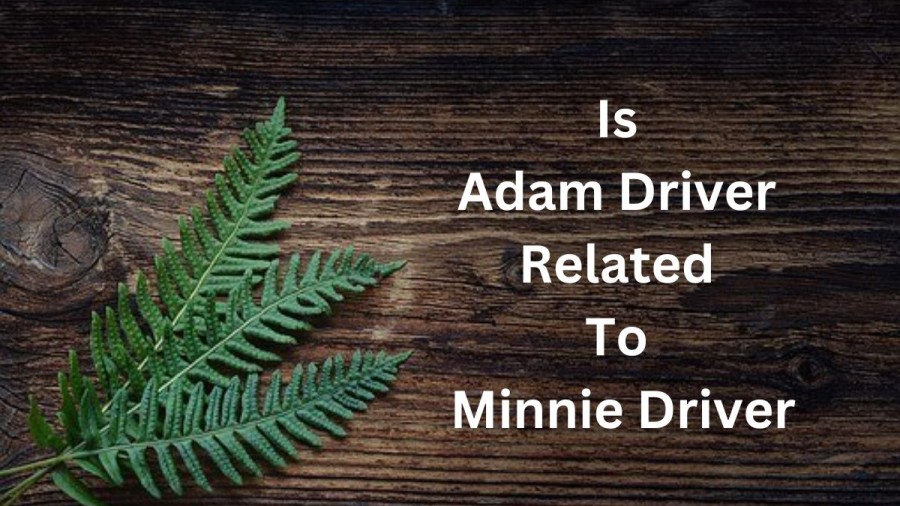 Is Adam Driver Related To Minnie Driver? What Happened To Minnie Driver?