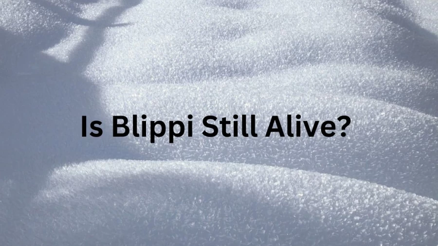 Is Blippi Still Alive, Who Is Blippi? What Happened To Blippi?