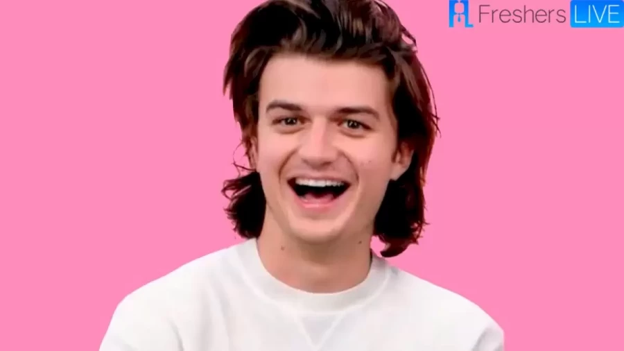 Is Joe Keery Pregnant? Know Joe Keery Age, Net Worth, and More