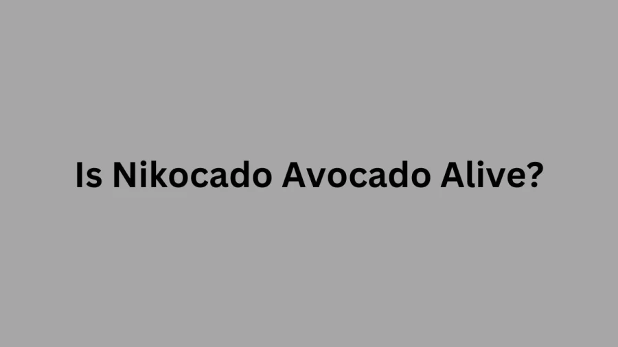 Is Nikocado Avocado Alive? Does Nikocado Avocado Have Cancer? Who Is Nikocado Avocado Dating?