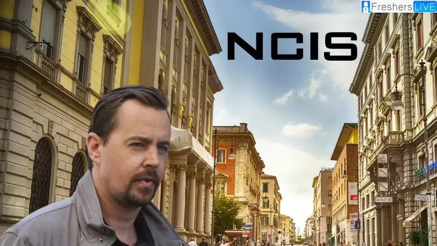 Is Sean Murray Leaving NCIS? Why Did Sean Murray Leave NCIS?