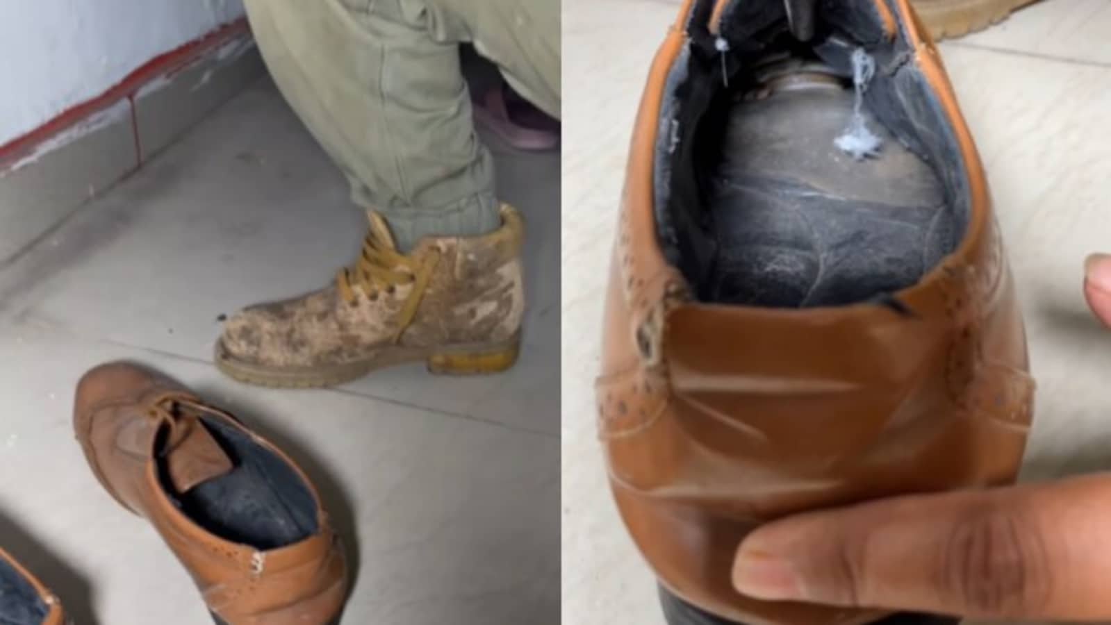 Little snake hiding inside shoe creeps out Internet