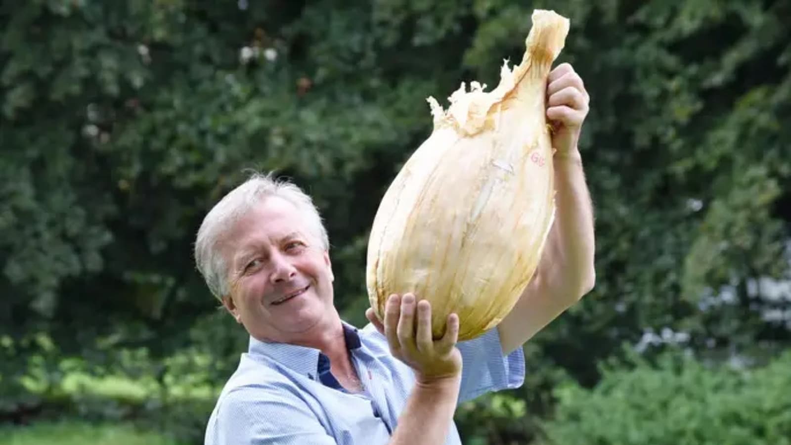 Man grows onion weighing 8.97 kg. It’s heavier than a bowling ball