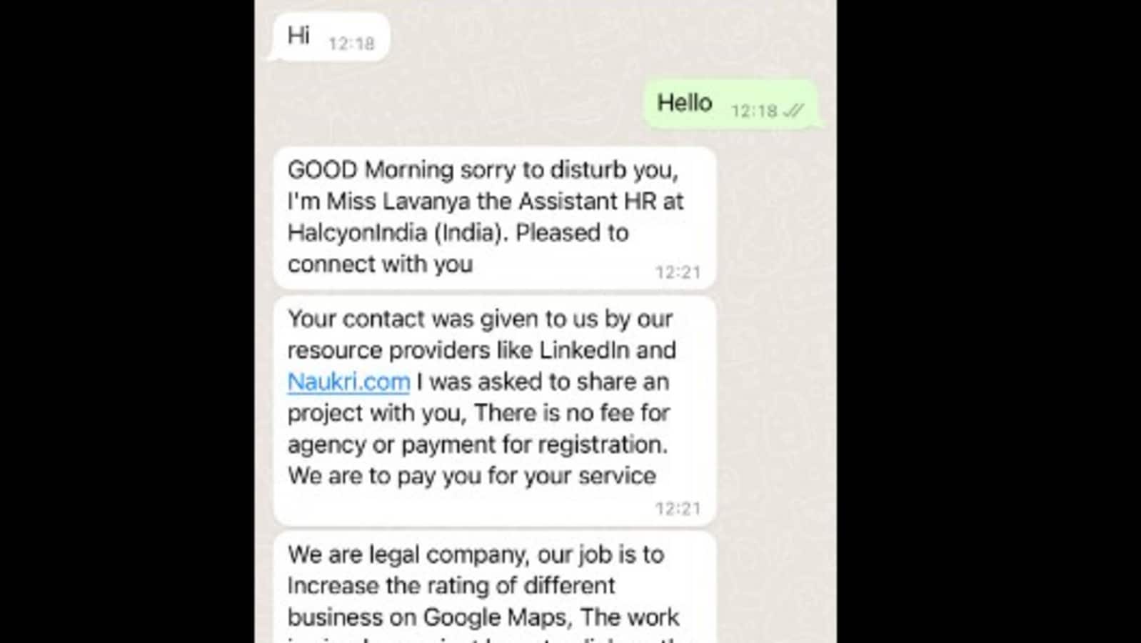 Man's conversation with WhatsApp scammer turns into a discussion about love, peace