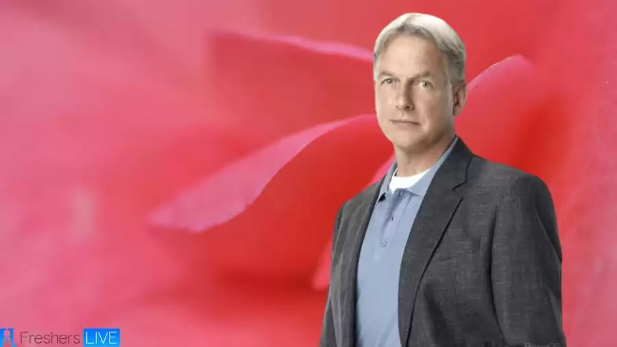 Mark Harmon Net Worth in 2023 How Rich is He Now?