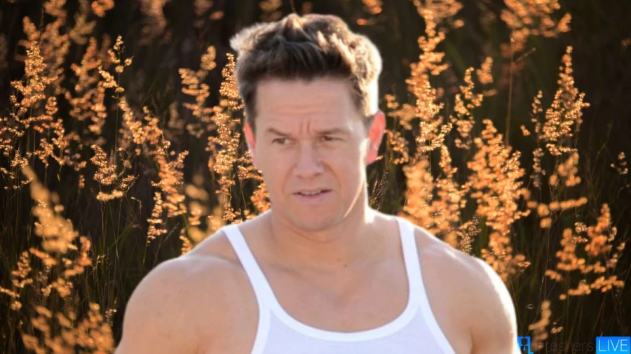 Mark Wahlberg Net Worth in 2023 How Rich is He Now?