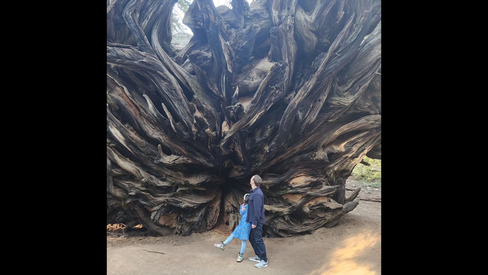 Mark Zuckerberg shares incredible pics with daughter in front of over 2000 years old giant sequoia trees