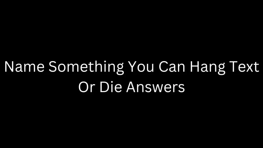 Name Something You Can Hang Text or Die Answers