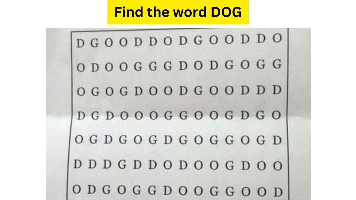 Do you see DOG here?