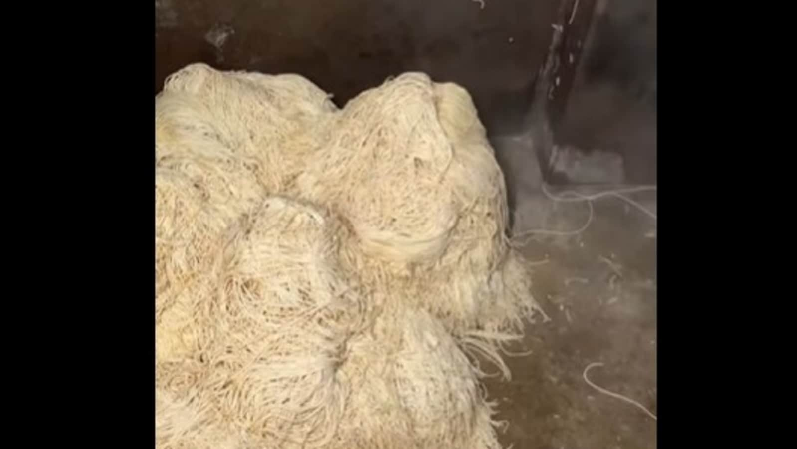 Noodles being made in a Kolkata factory will leave you disgusted. Watch