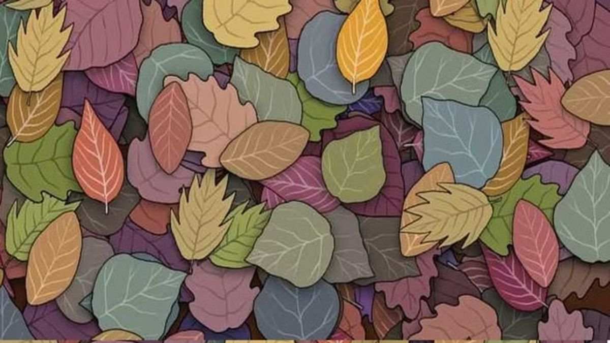 Find the hidden frog.