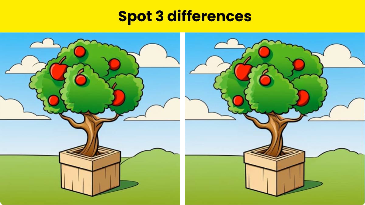 Can you spot 3 differences here?