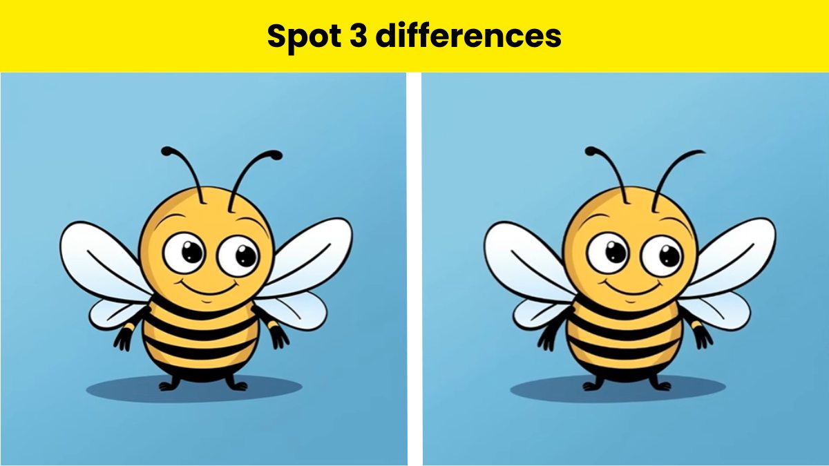 Can you spot the differences?