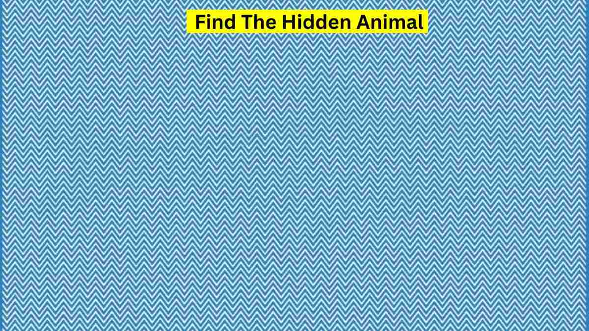 Optical Illusion: Spot The Hidden Animal.