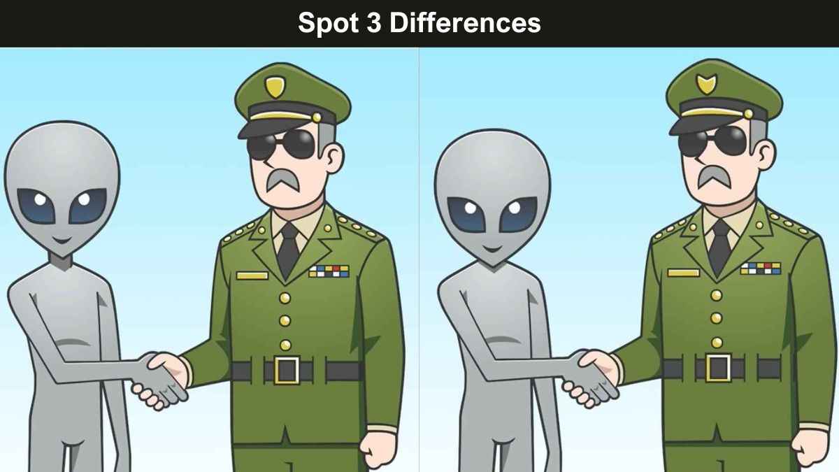 Spot 3 Differences in 10 Seconds