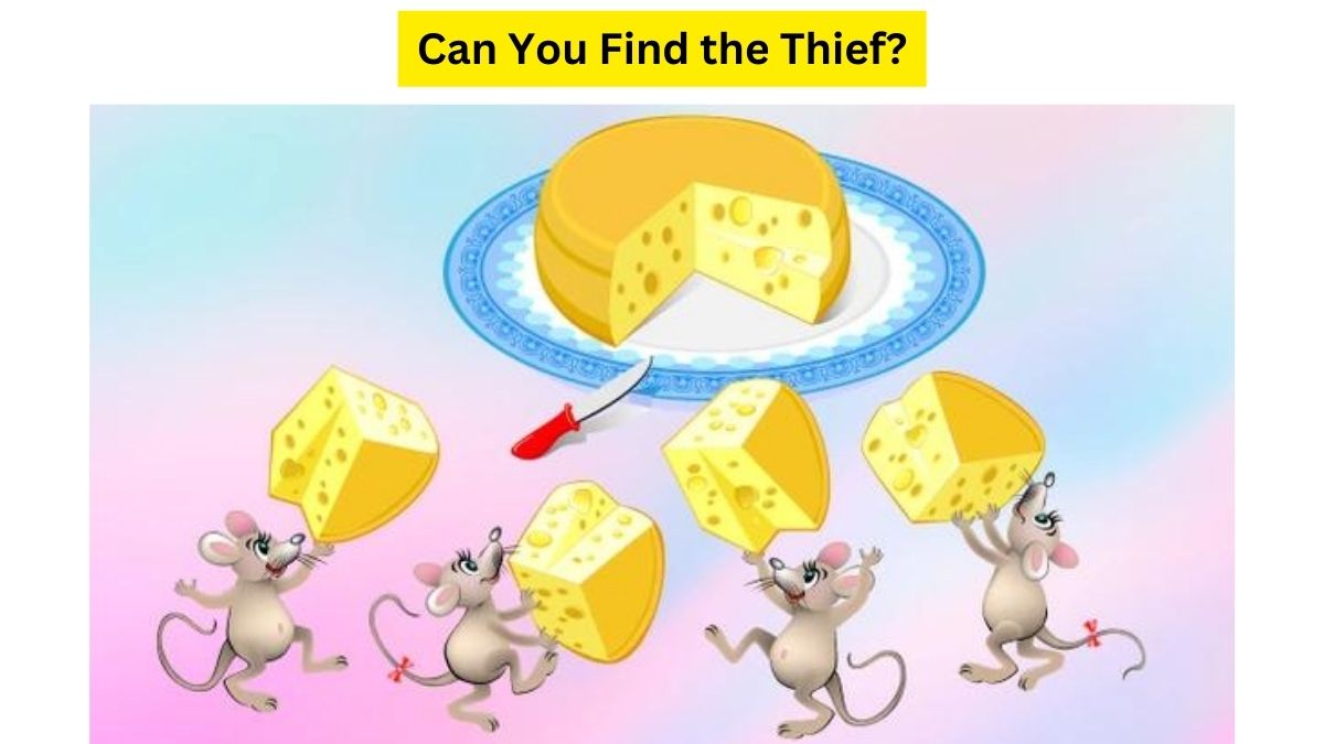 Do you see any thief here?