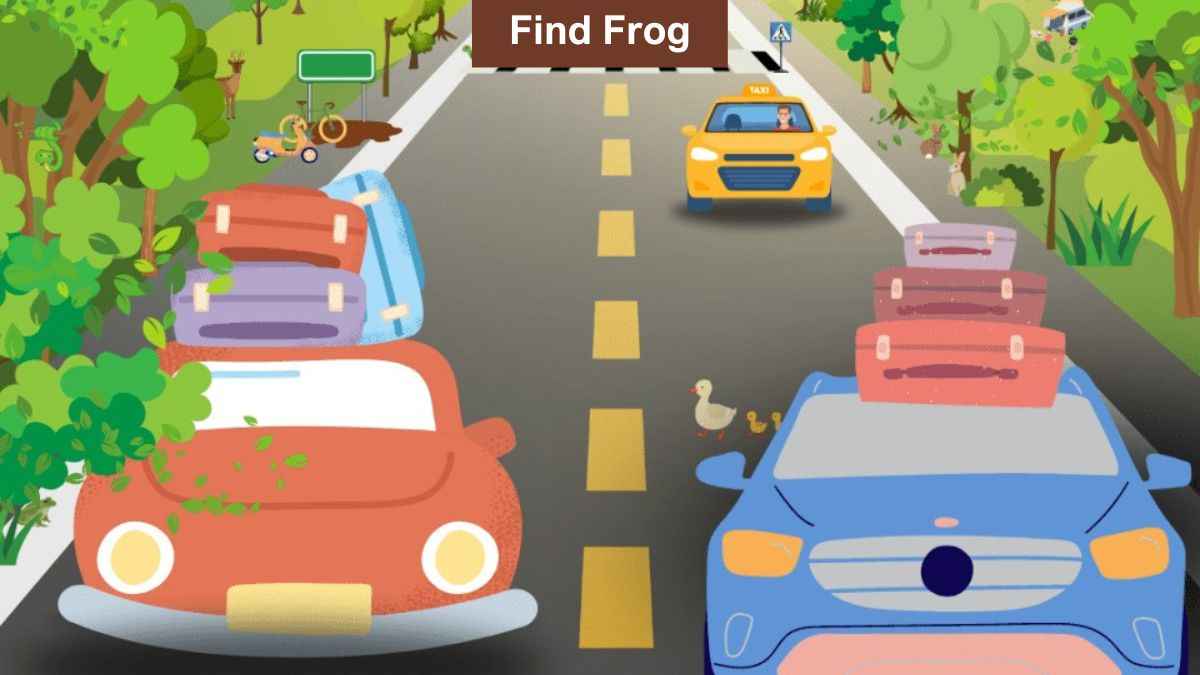 Find Frog on the Highway in 5 Seconds