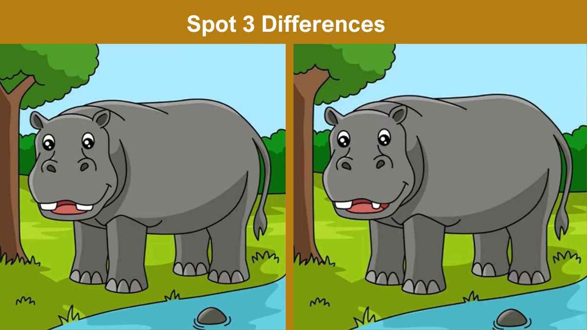 Spot 3 Differences in 9 Seconds