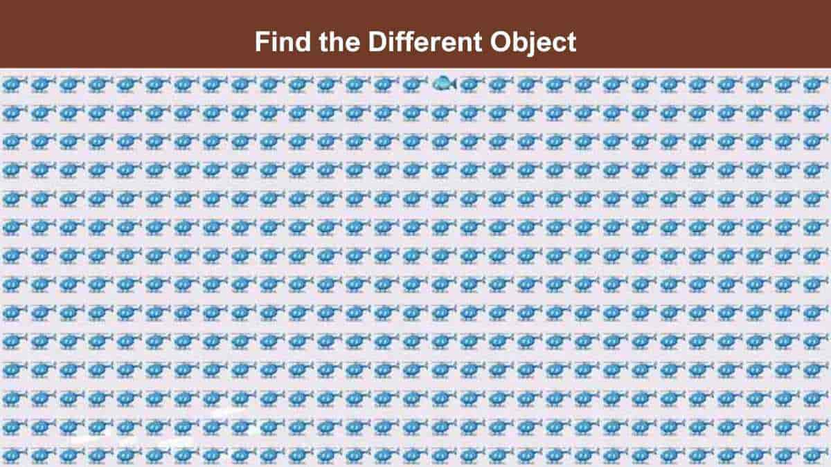 Find Different Object in 4 Seconds