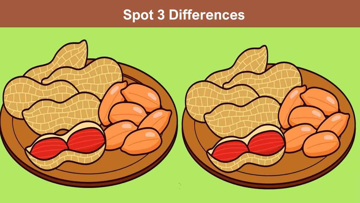 Spot 3 Differences in 7 Seconds