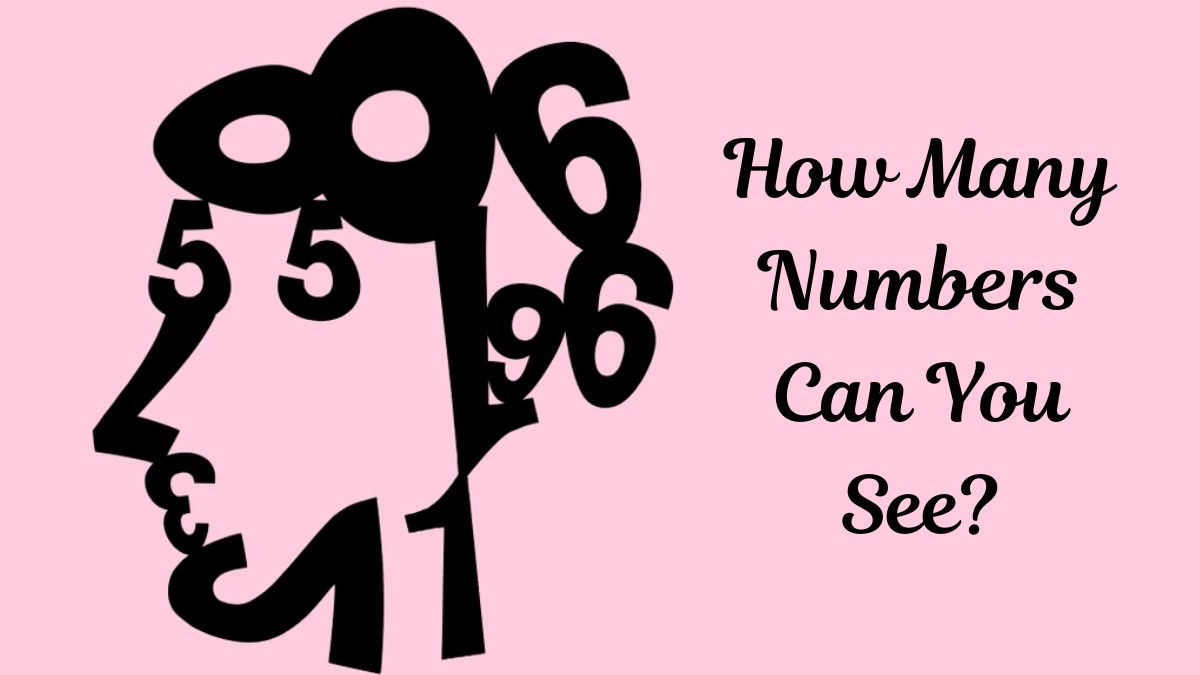 How Many Single Numbers Can You Spot Inside the Human Face Picture in 7 secs?