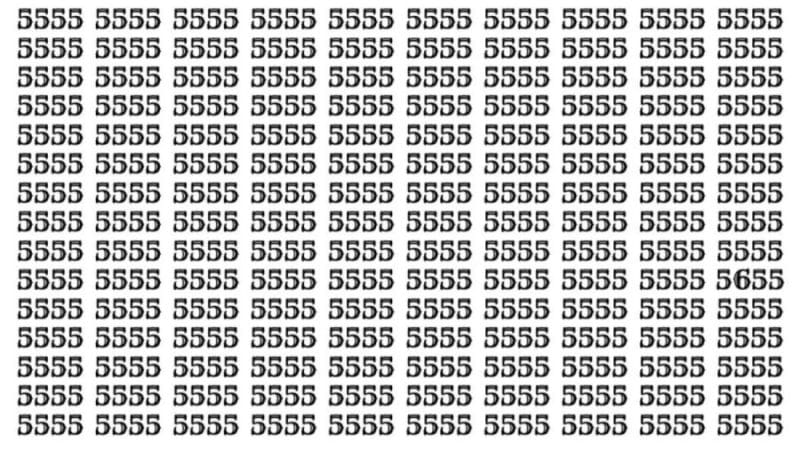 Optical illusion: Find the hidden number 5655 in this picture