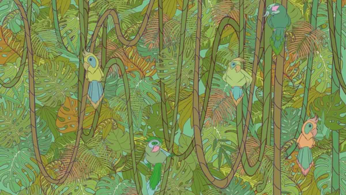 Only 2% Can Spot the Hidden Snake Inside the Picture of a Jungle in 11 secs!