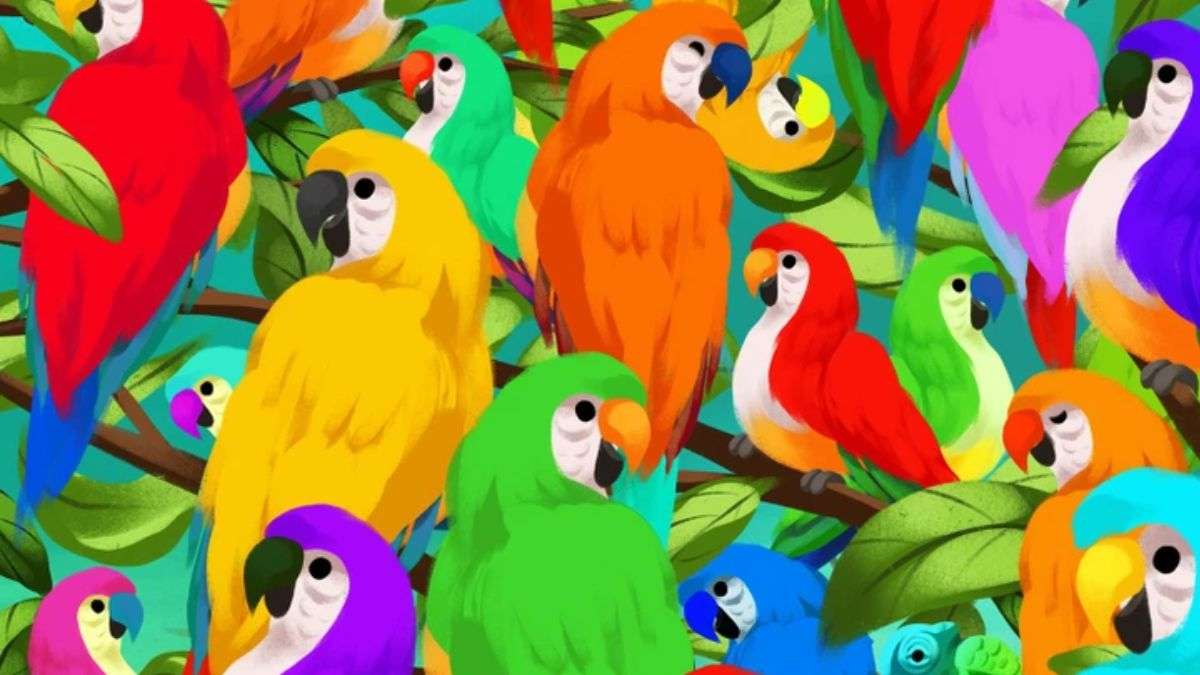 Only 5% Can Spot the Chameleon Hidden Among Parrots In Picture Within 9 secs!