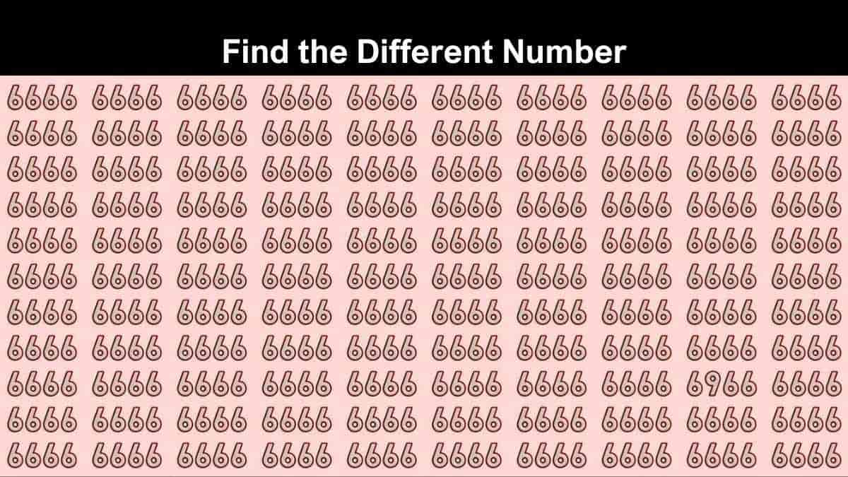 Find The Different Number in 5 Seconds