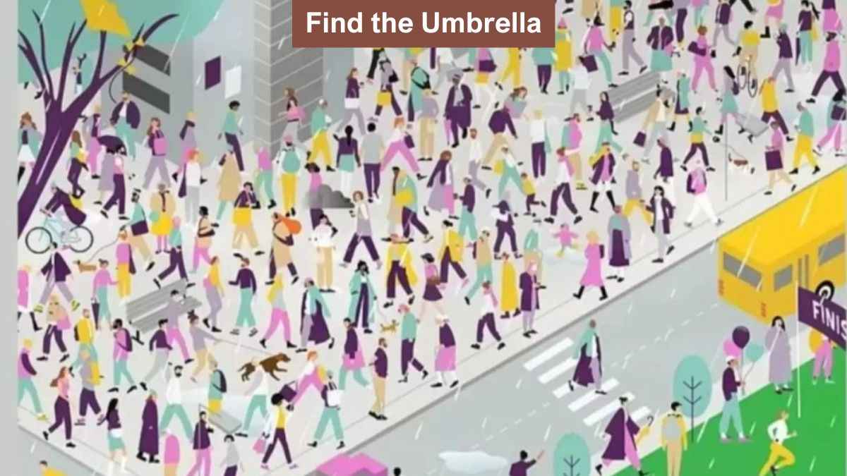 Find Umbrella in Street