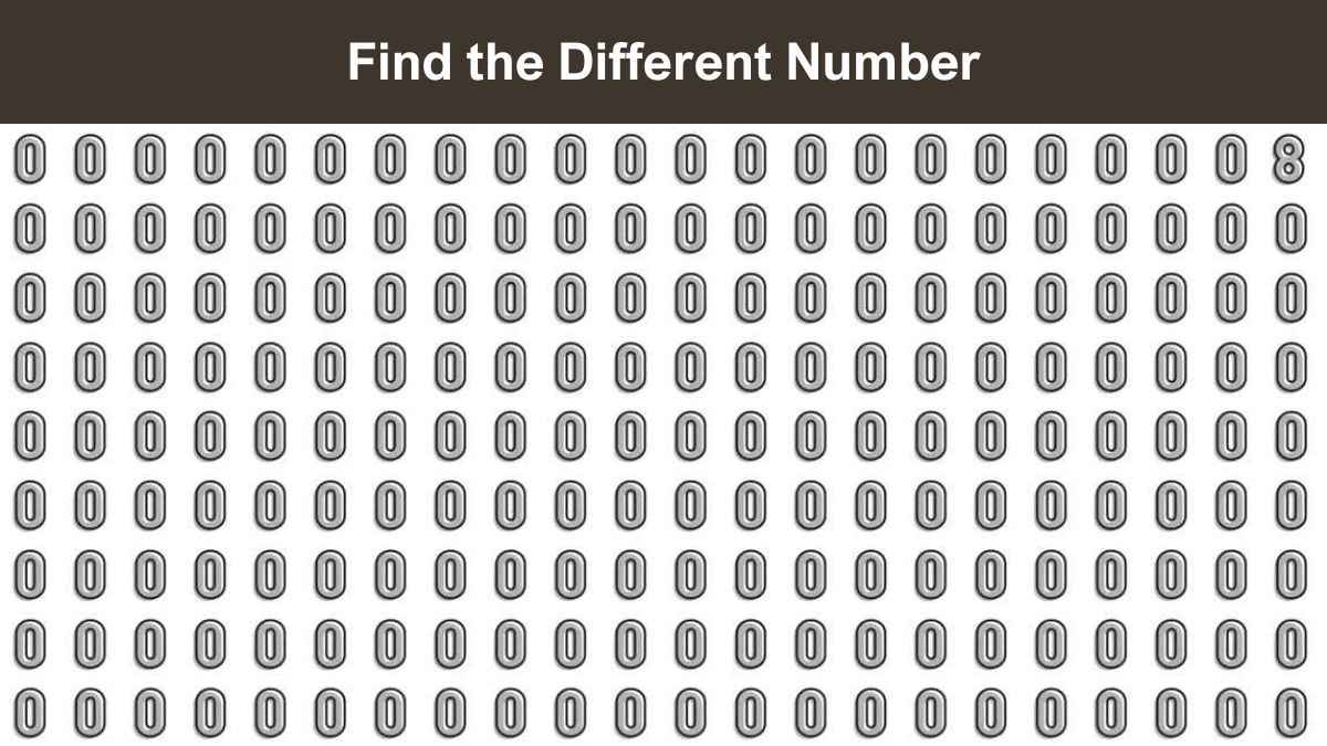 Find Different Number in 4 Seconds