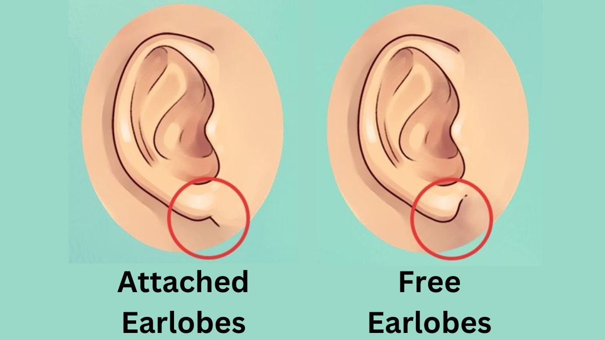 Earlobes Personality Test