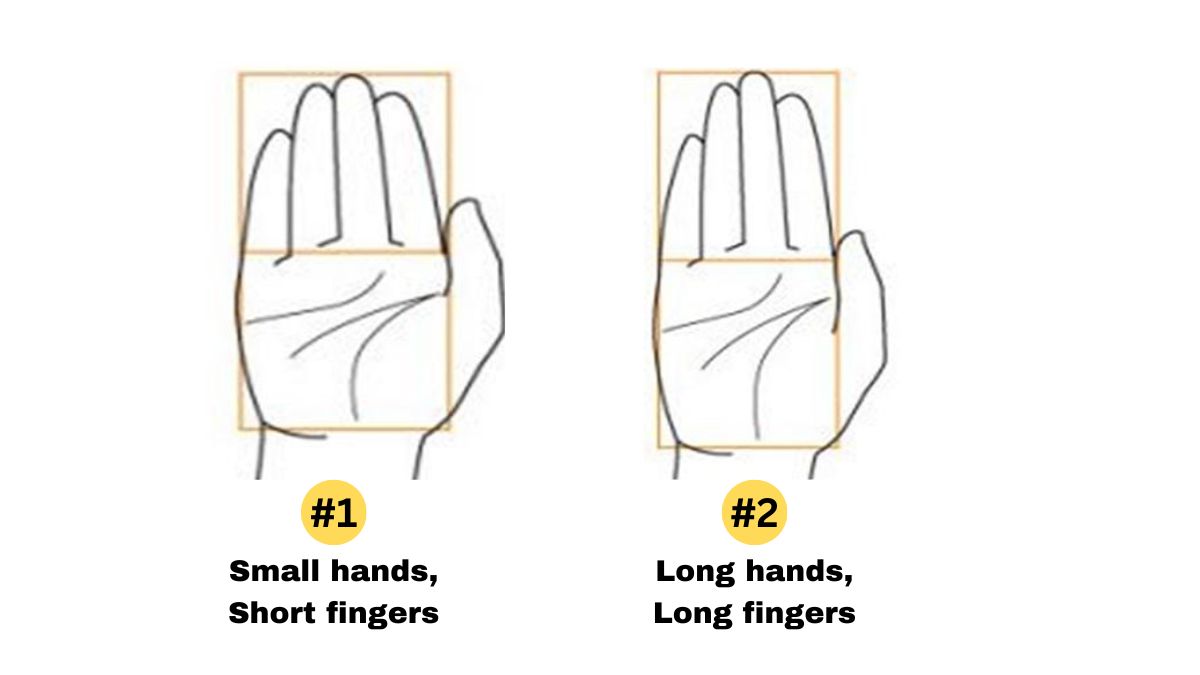 Hand Personality Test